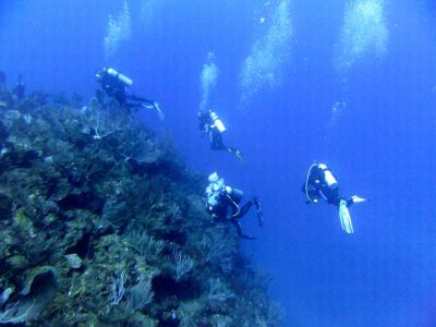 Tibisi I Diving Spot Las Galeras Samana